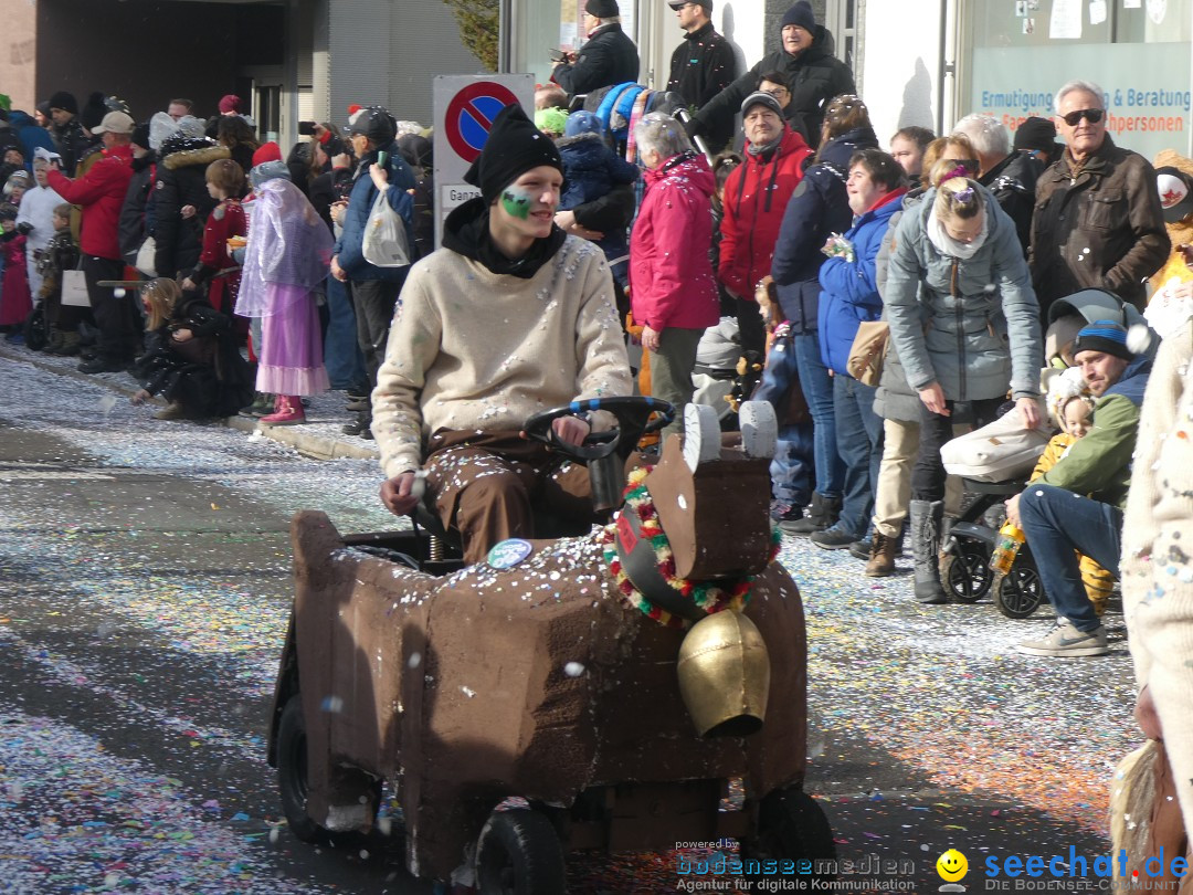 Fasnachtsumzug und Party: Gossau, 25.01.2026