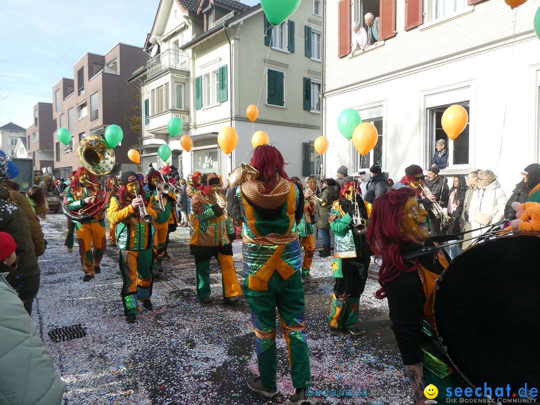 Fasnachtsumzug und Party: Gossau, 25.01.2026