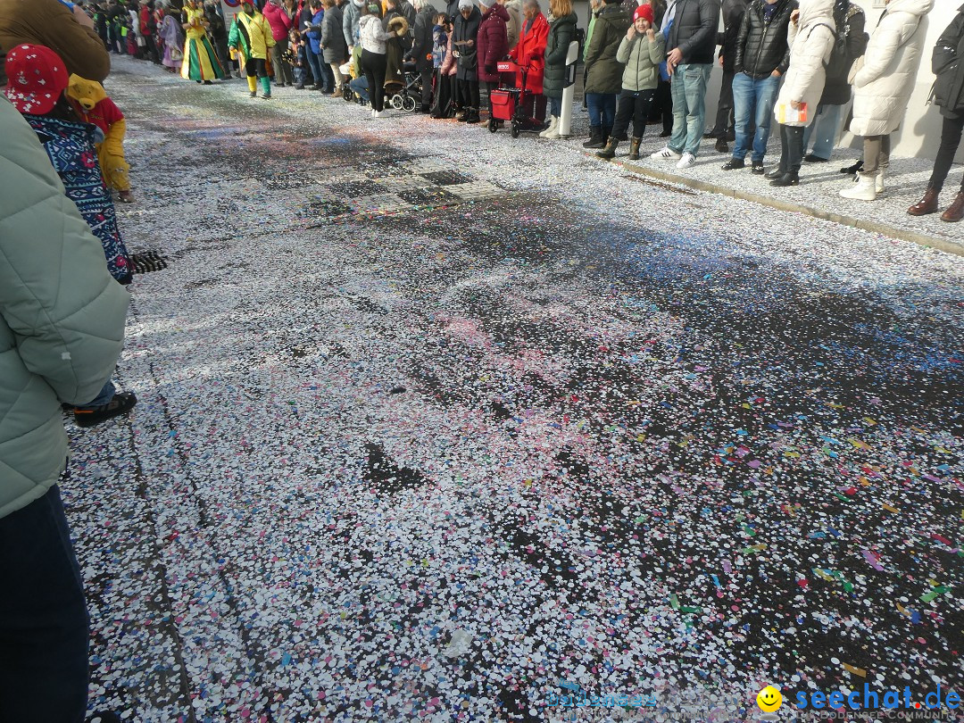 Fasnachtsumzug und Party: Gossau, 25.01.2026