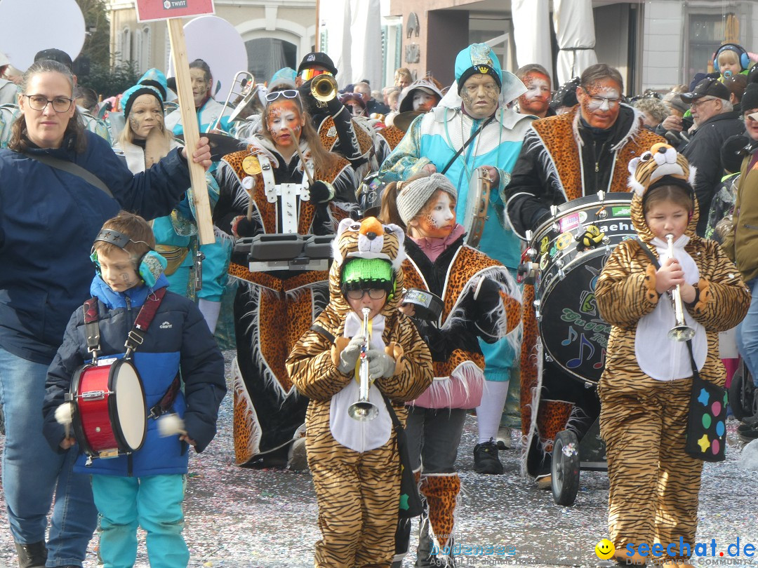 Fasnachtsumzug und Party: Gossau, 25.01.2026