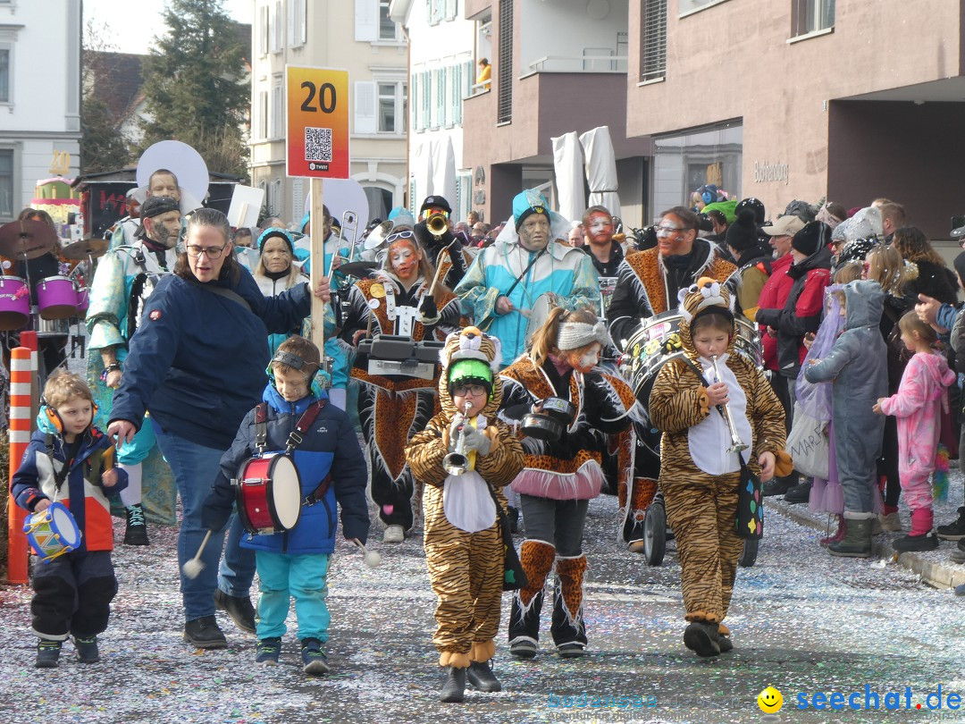 Fasnachtsumzug und Party: Gossau, 25.01.2026