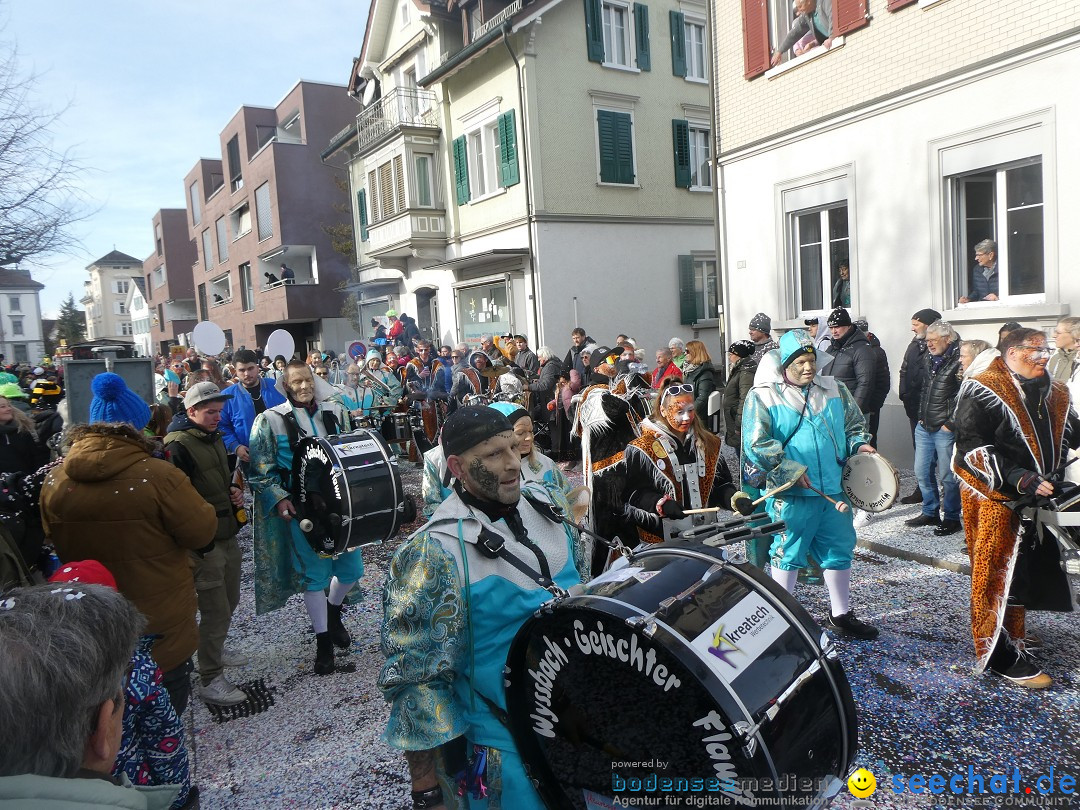 Fasnachtsumzug und Party: Gossau, 25.01.2026