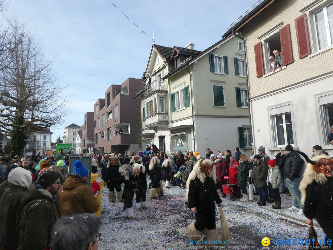 Fasnachtsumzug und Party: Gossau, 25.01.2026
