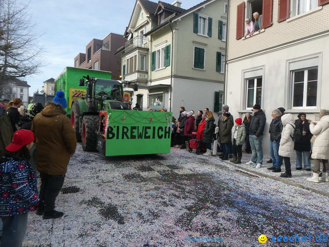 Fasnachtsumzug und Party: Gossau, 25.01.2026