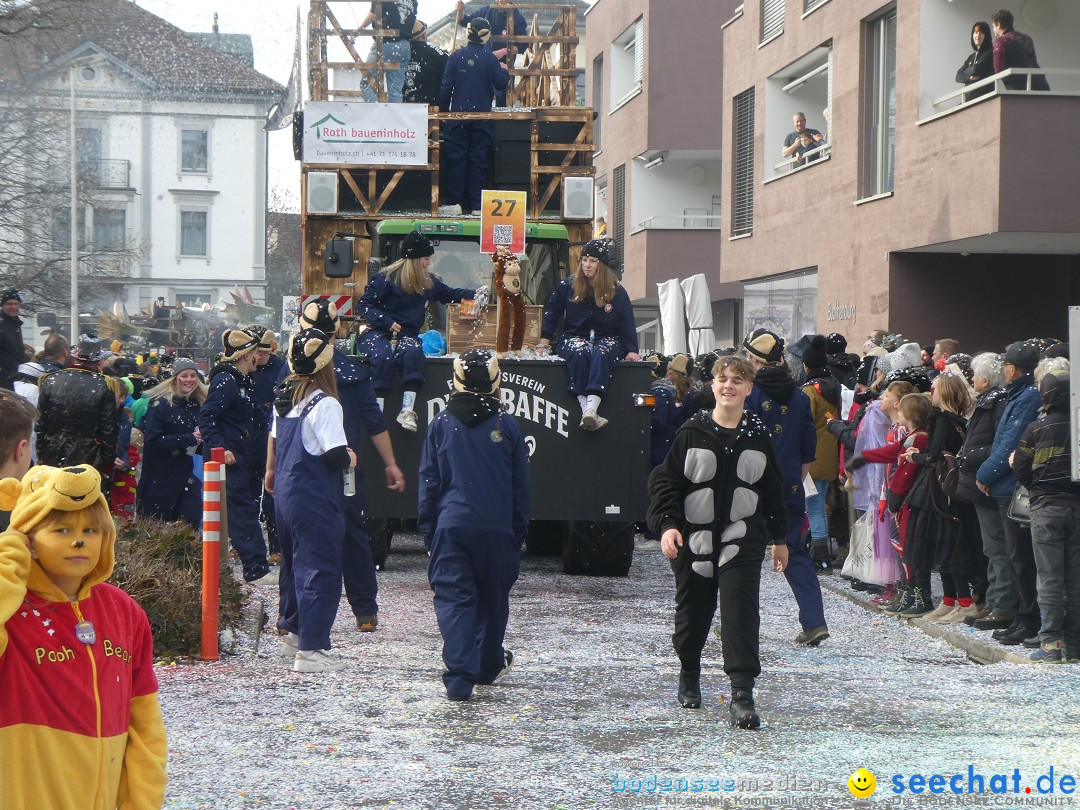 Fasnachtsumzug und Party: Gossau, 25.01.2026