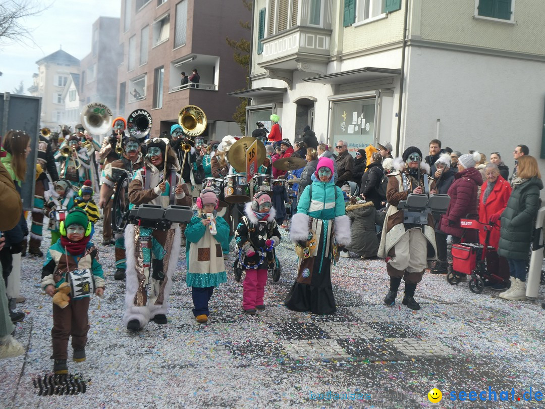 Fasnachtsumzug und Party: Gossau, 25.01.2026