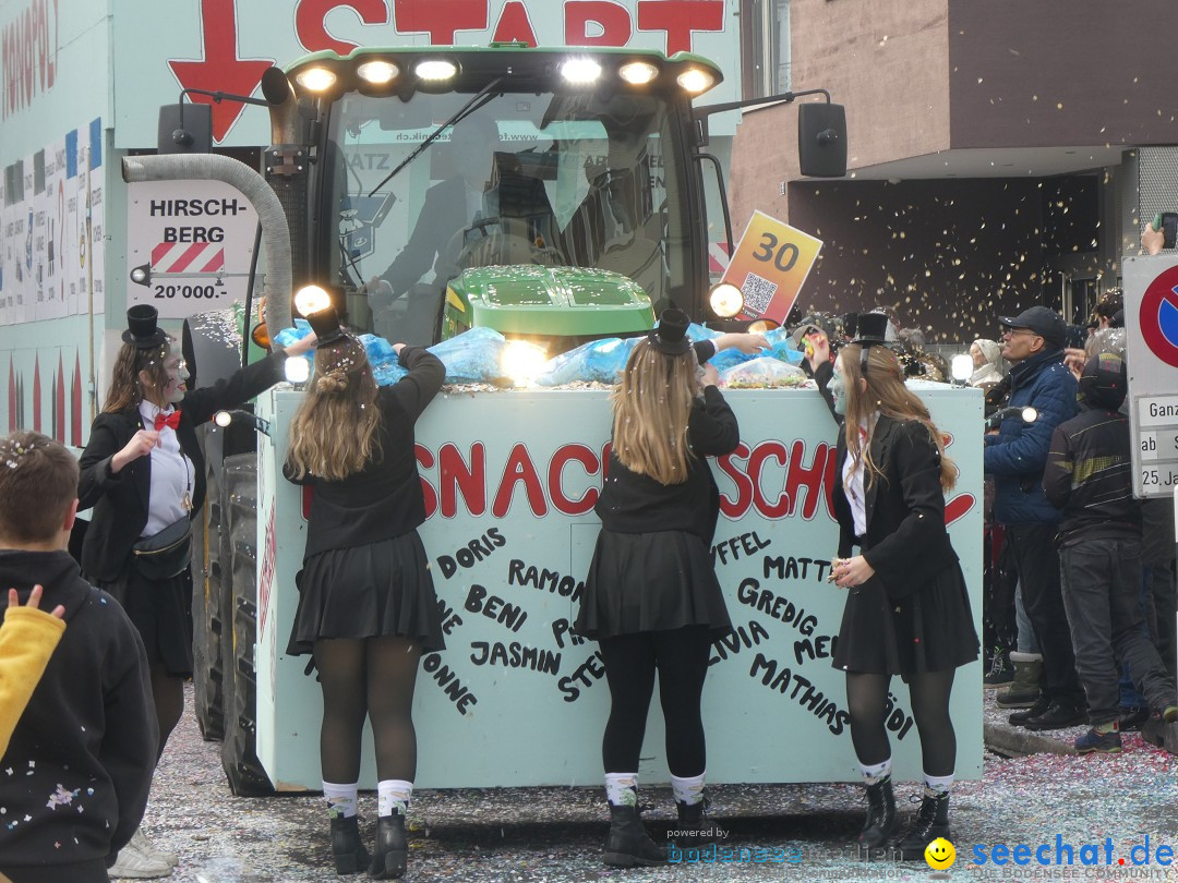 Fasnachtsumzug und Party: Gossau, 25.01.2026