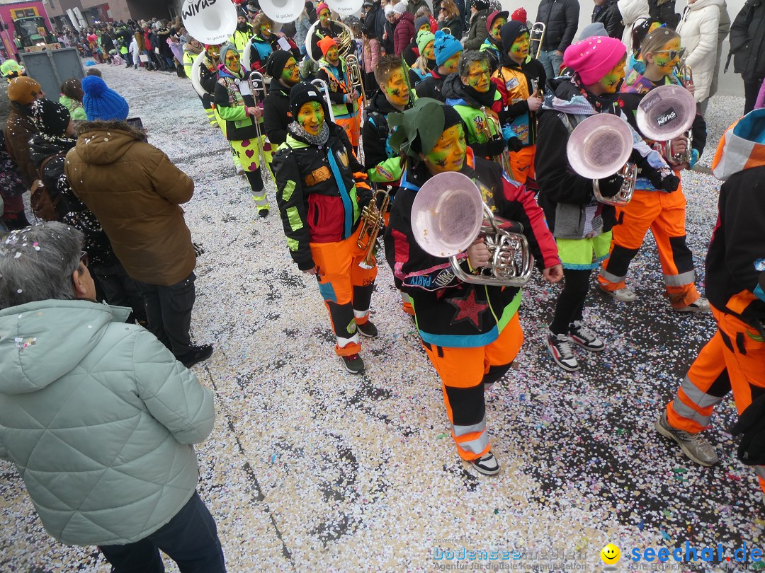 Fasnachtsumzug und Party: Gossau, 25.01.2026