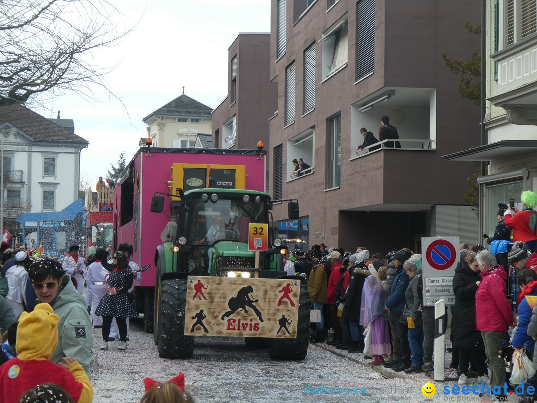 Fasnachtsumzug und Party: Gossau, 25.01.2026