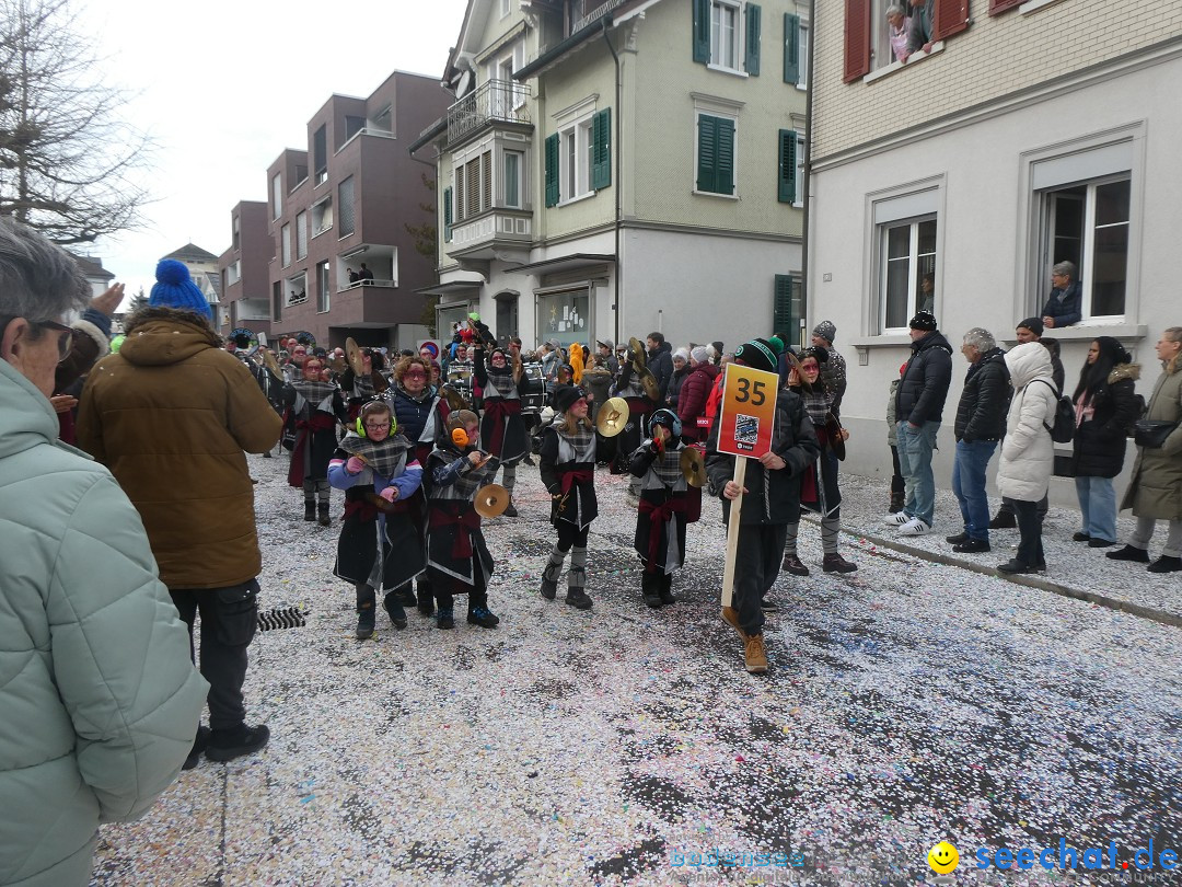 Fasnachtsumzug und Party: Gossau, 25.01.2026