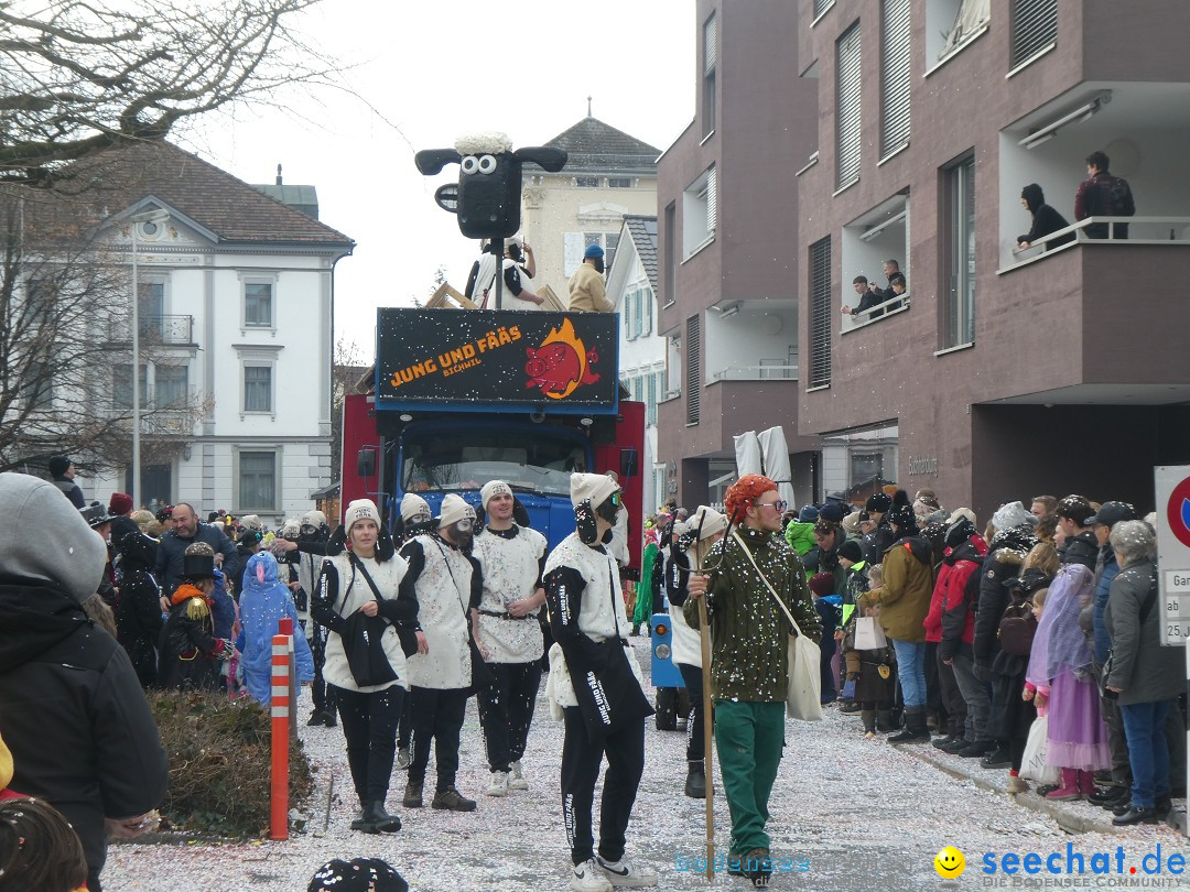 Fasnachtsumzug und Party: Gossau, 25.01.2026