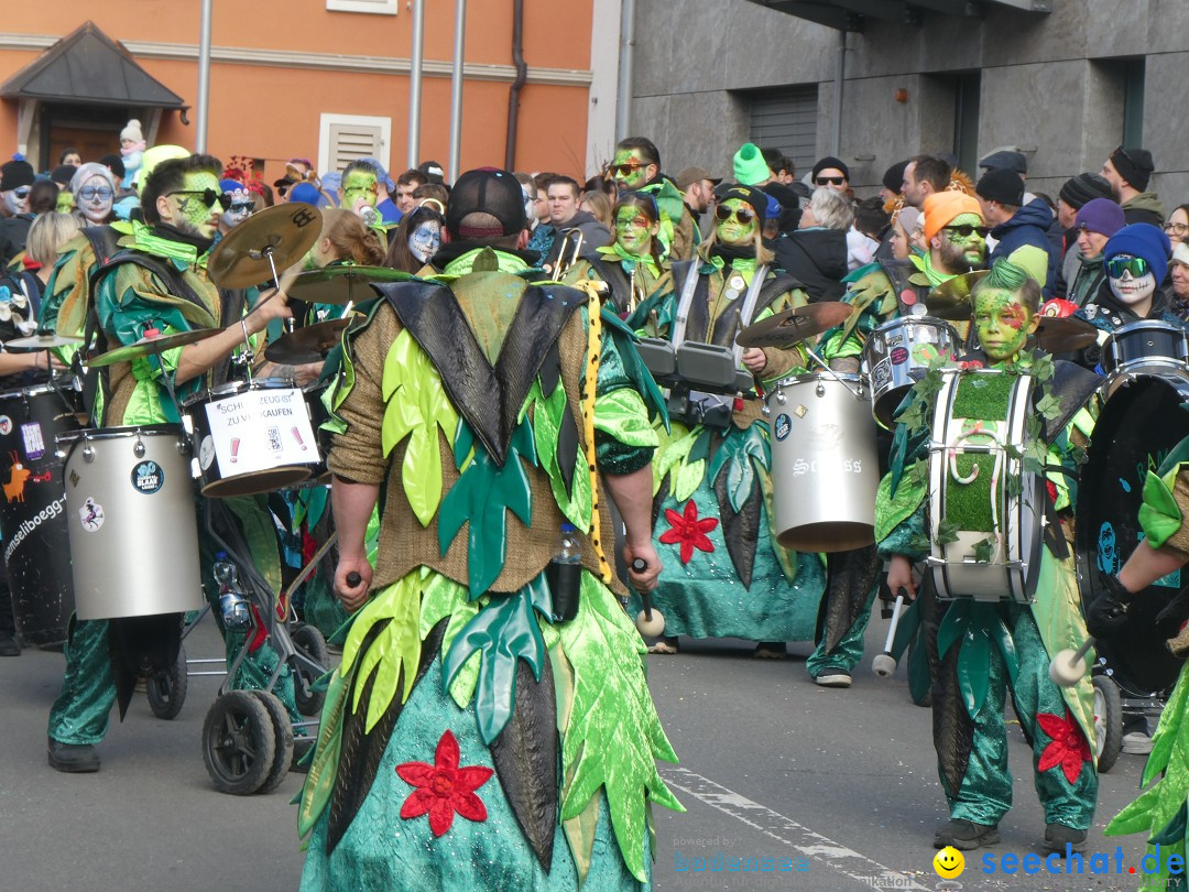 Fasnachtsumzug: Gams - Schweiz, 01.02.2026