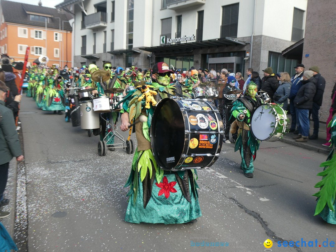 Fasnachtsumzug: Gams - Schweiz, 01.02.2026