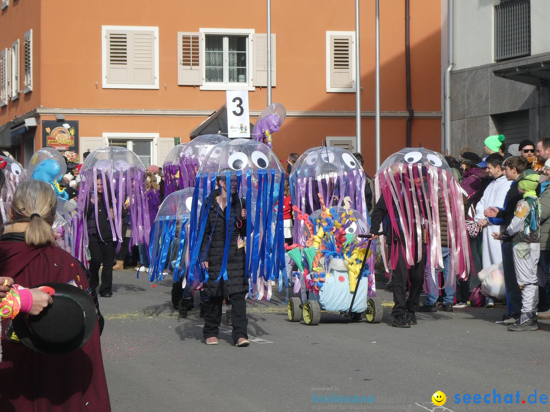 Fasnachtsumzug: Gams - Schweiz, 01.02.2026