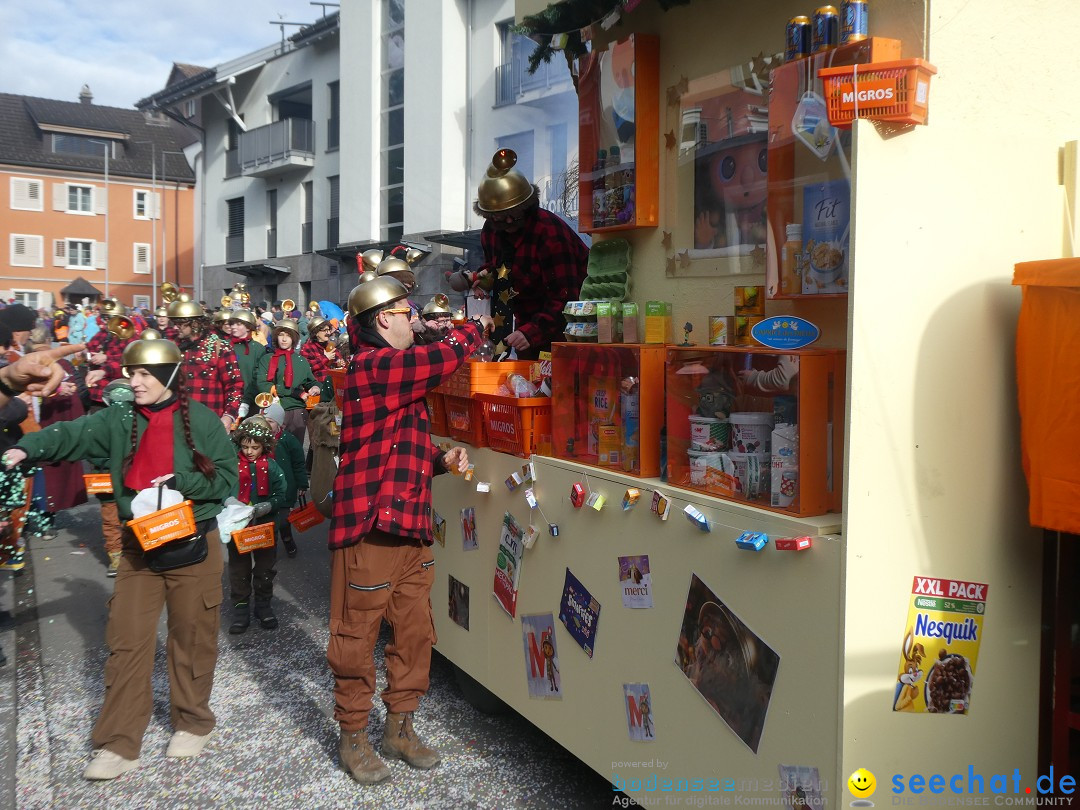 Fasnachtsumzug: Gams - Schweiz, 01.02.2026