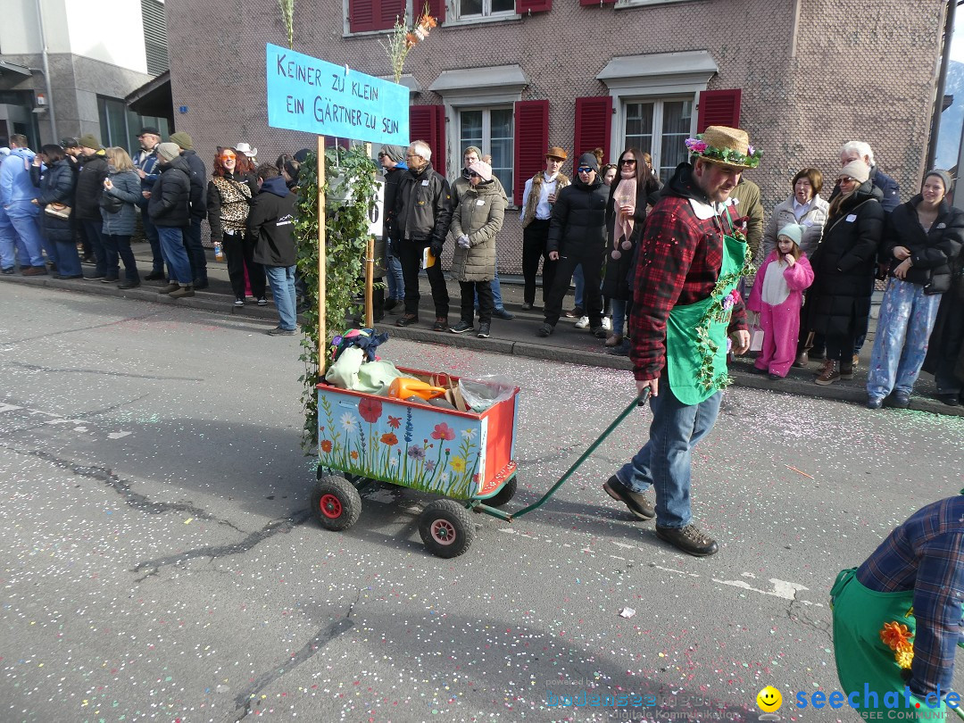 Fasnachtsumzug: Gams - Schweiz, 01.02.2026