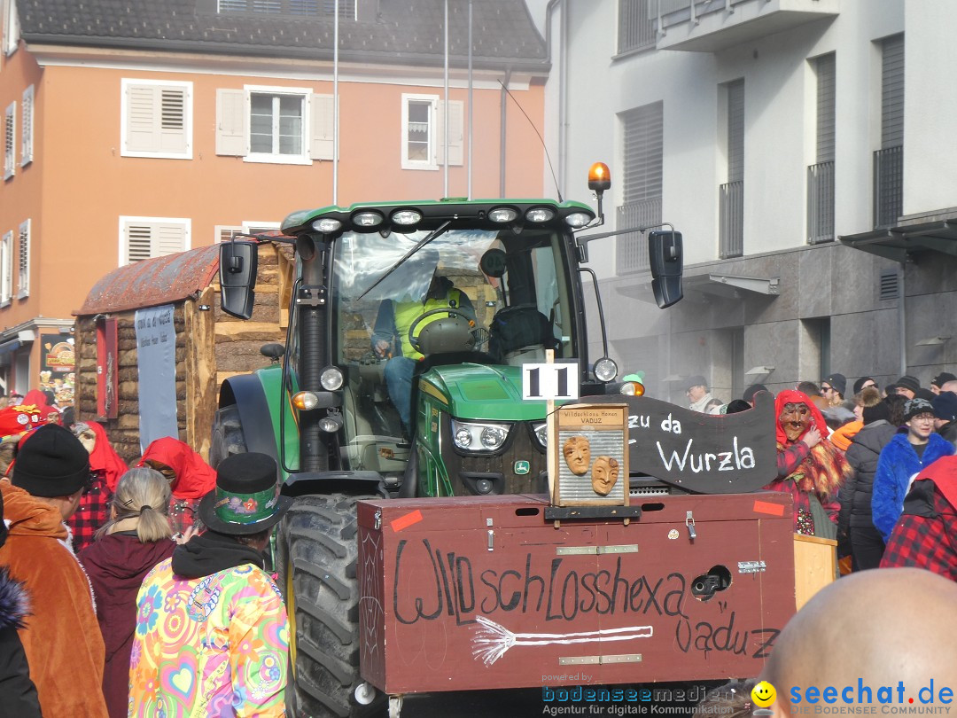 Fasnachtsumzug: Gams - Schweiz, 01.02.2026