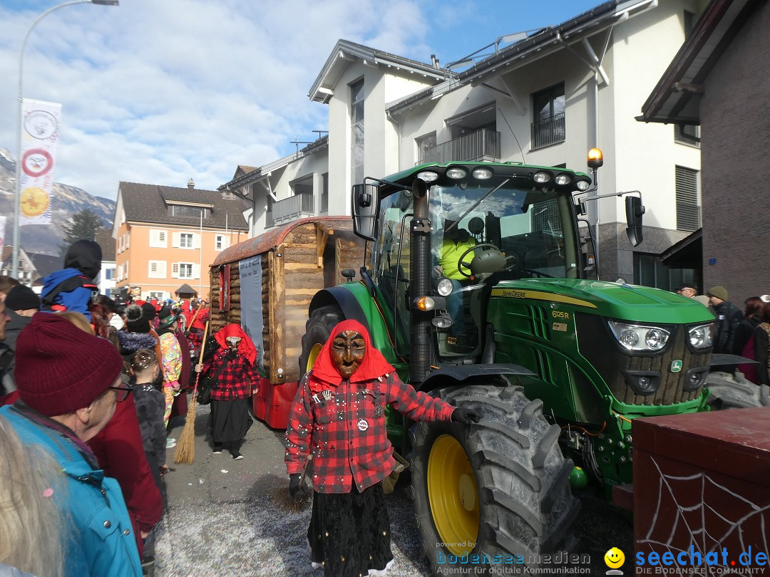 Fasnachtsumzug: Gams - Schweiz, 01.02.2026