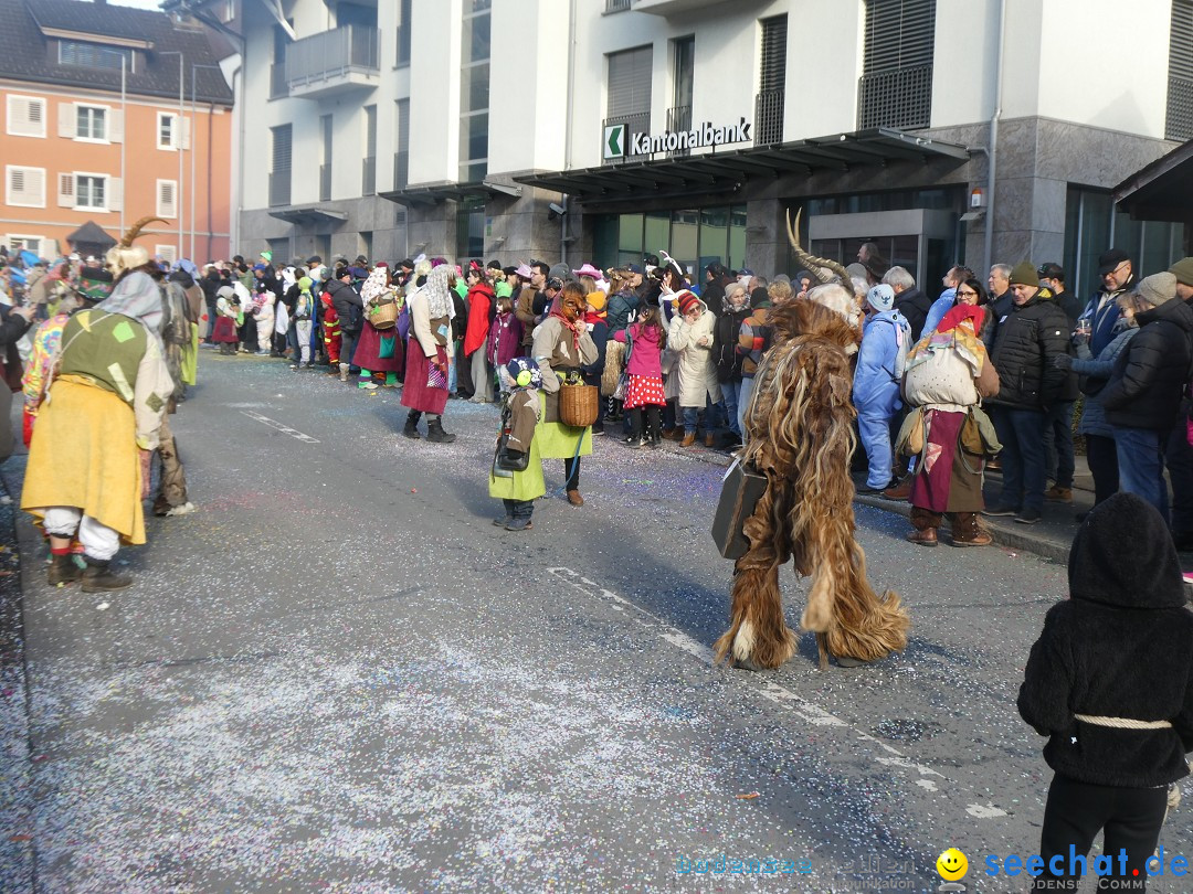 Fasnachtsumzug: Gams - Schweiz, 01.02.2026
