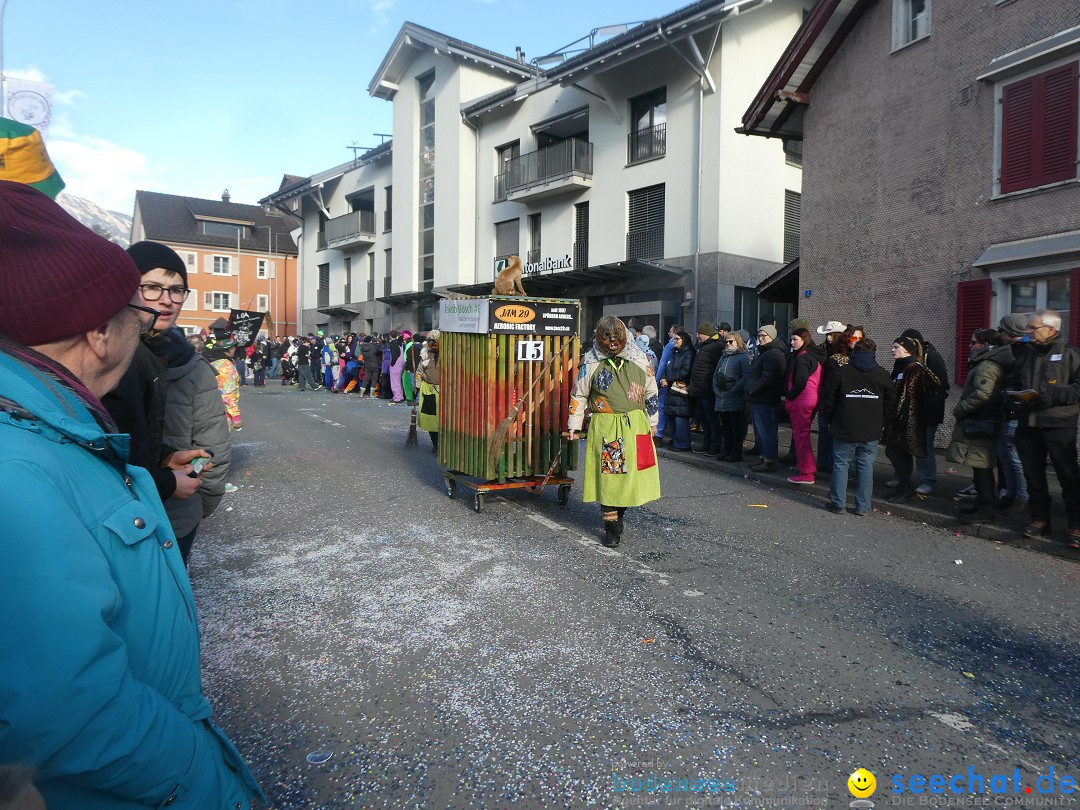 Fasnachtsumzug: Gams - Schweiz, 01.02.2026