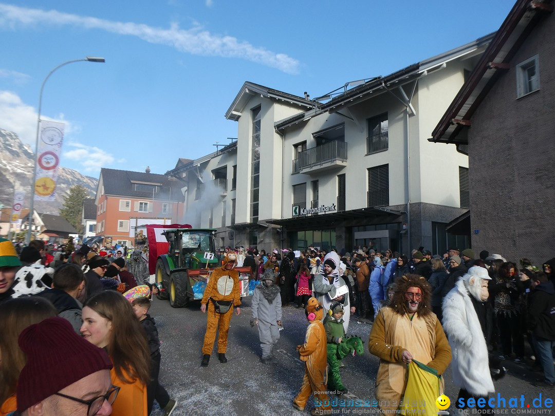 Fasnachtsumzug: Gams - Schweiz, 01.02.2026