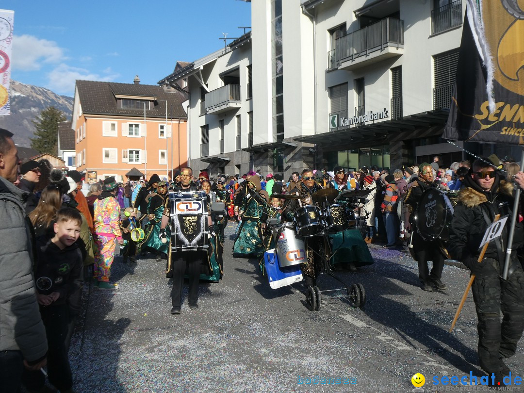 Fasnachtsumzug: Gams - Schweiz, 01.02.2026