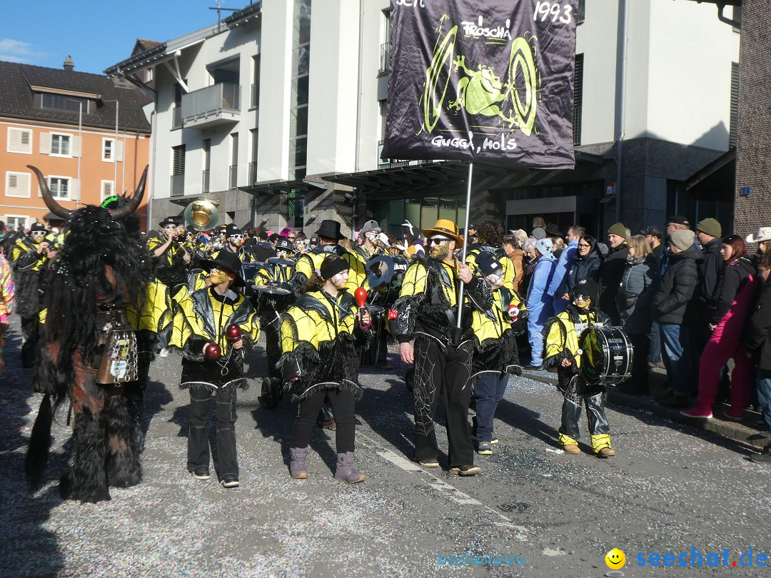 Fasnachtsumzug: Gams - Schweiz, 01.02.2026