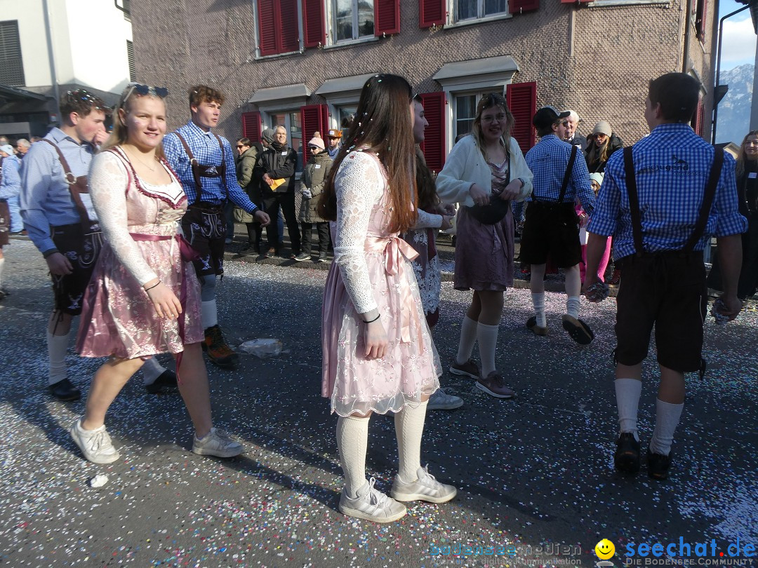 Fasnachtsumzug: Gams - Schweiz, 01.02.2026