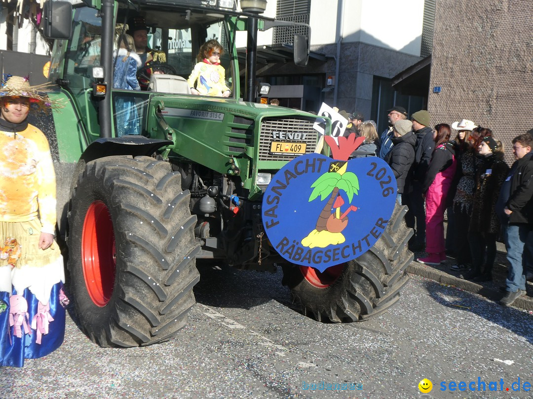 Fasnachtsumzug: Gams - Schweiz, 01.02.2026