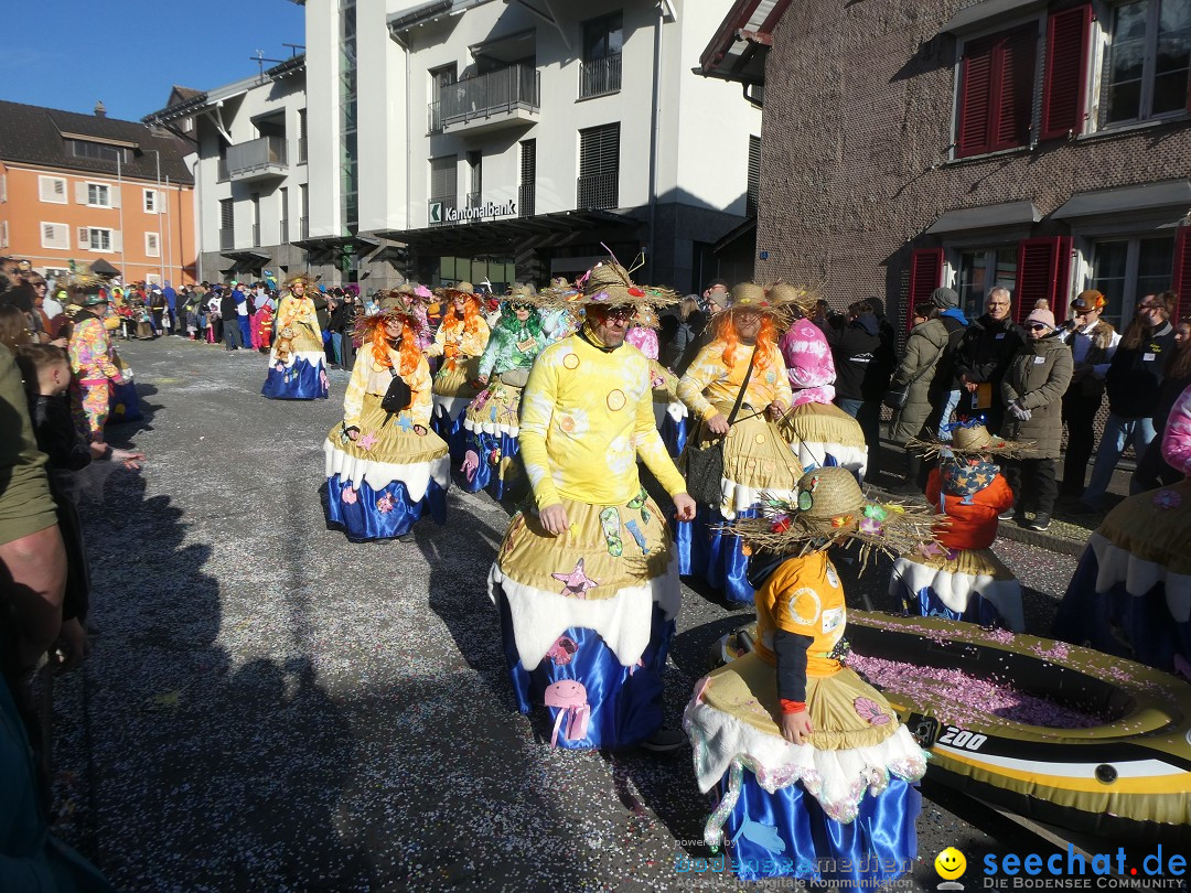 Fasnachtsumzug: Gams - Schweiz, 01.02.2026