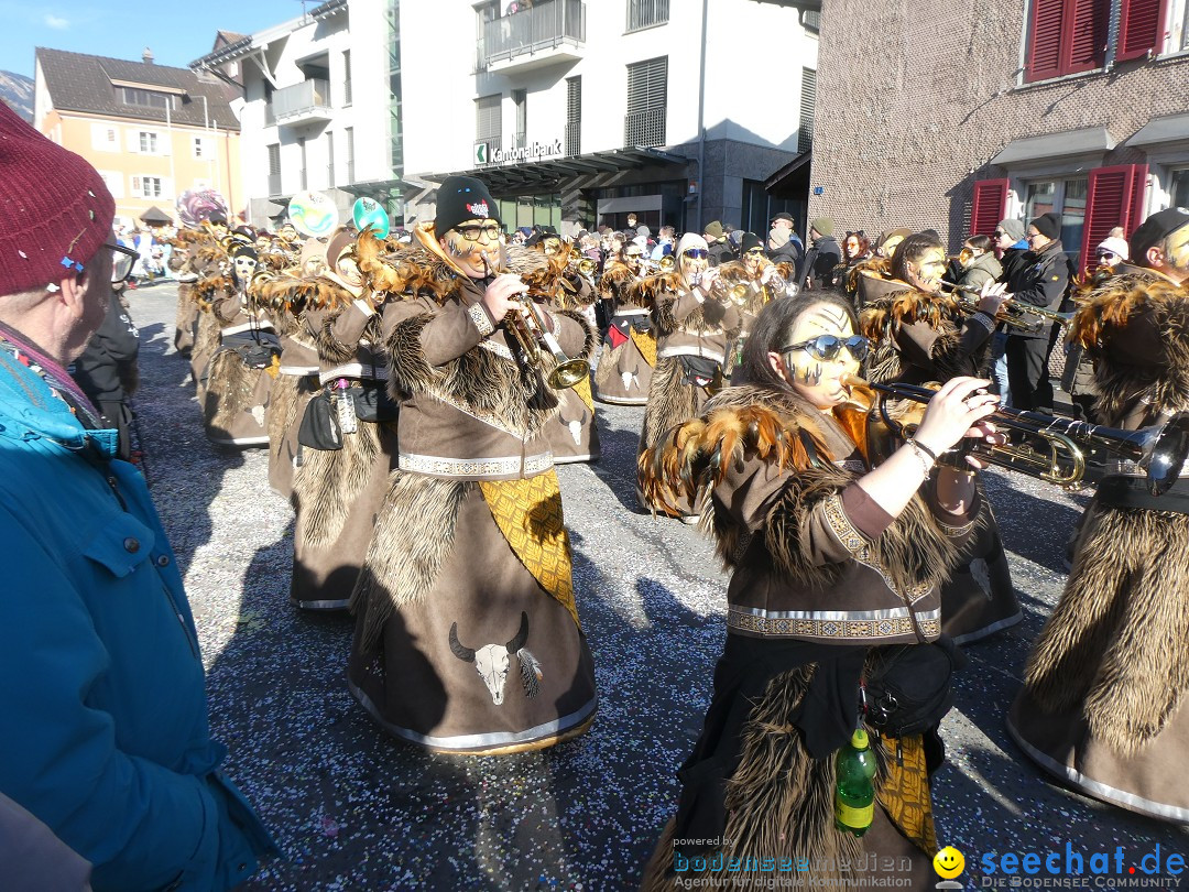 Fasnachtsumzug: Gams - Schweiz, 01.02.2026