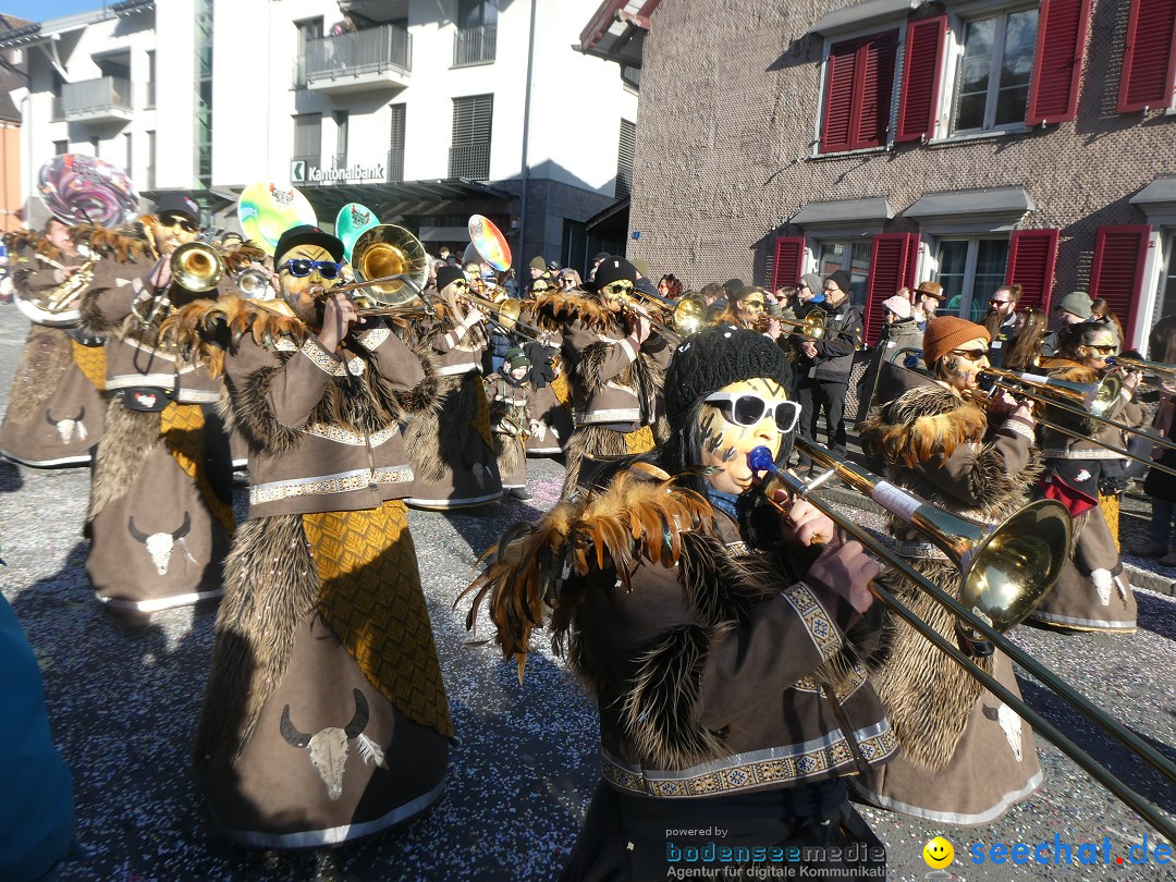 Fasnachtsumzug: Gams - Schweiz, 01.02.2026