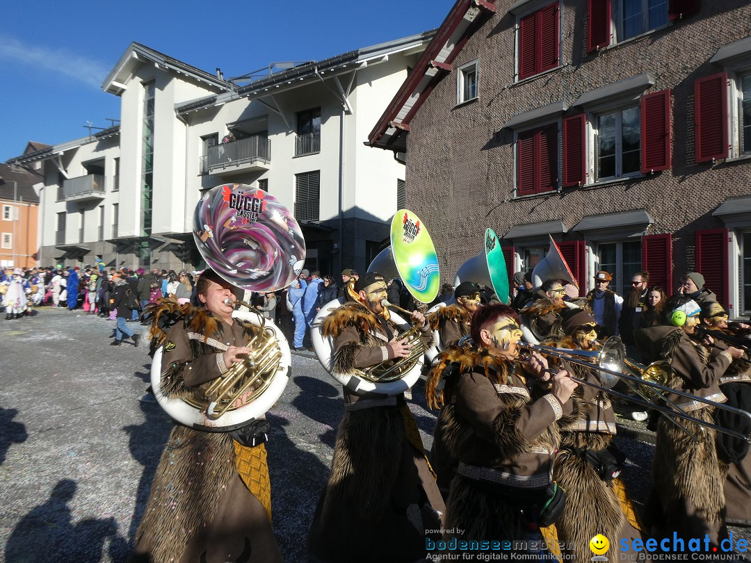 Fasnachtsumzug: Gams - Schweiz, 01.02.2026