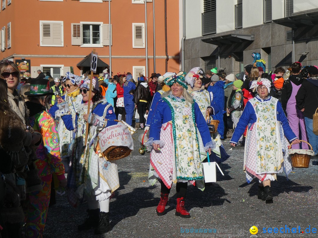 Fasnachtsumzug: Gams - Schweiz, 01.02.2026
