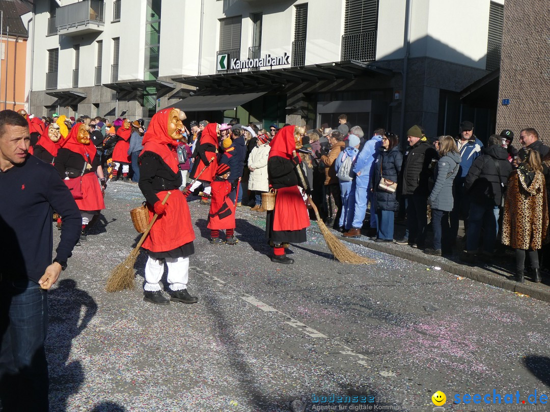 Fasnachtsumzug: Gams - Schweiz, 01.02.2026
