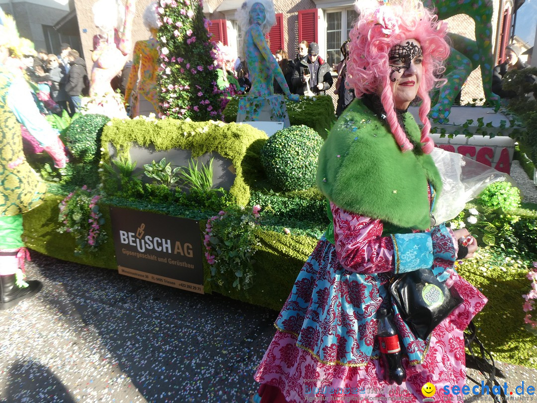 Fasnachtsumzug: Gams - Schweiz, 01.02.2026