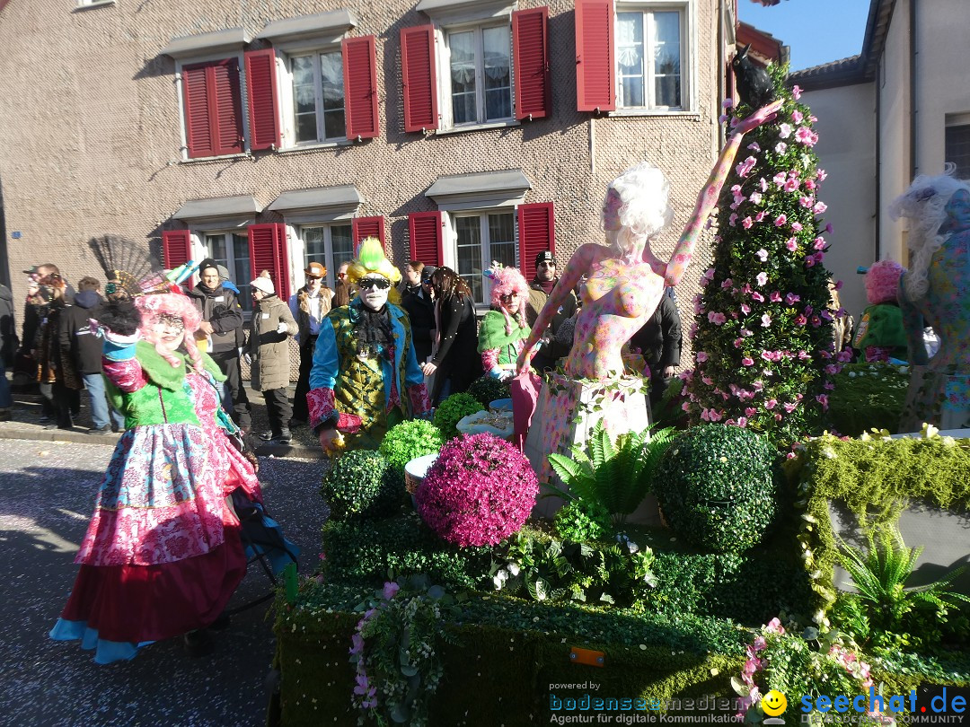 Fasnachtsumzug: Gams - Schweiz, 01.02.2026