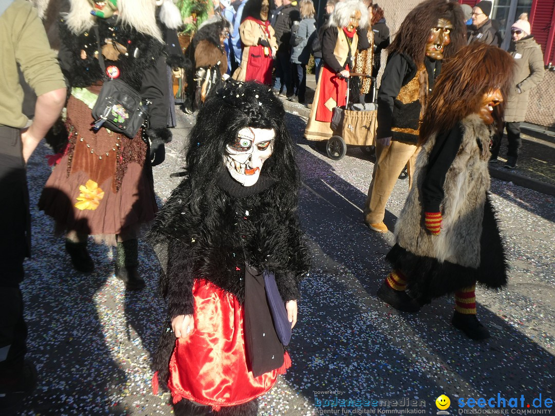 Fasnachtsumzug: Gams - Schweiz, 01.02.2026