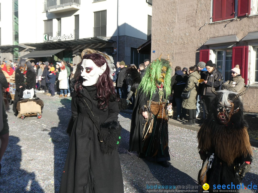 Fasnachtsumzug: Gams - Schweiz, 01.02.2026