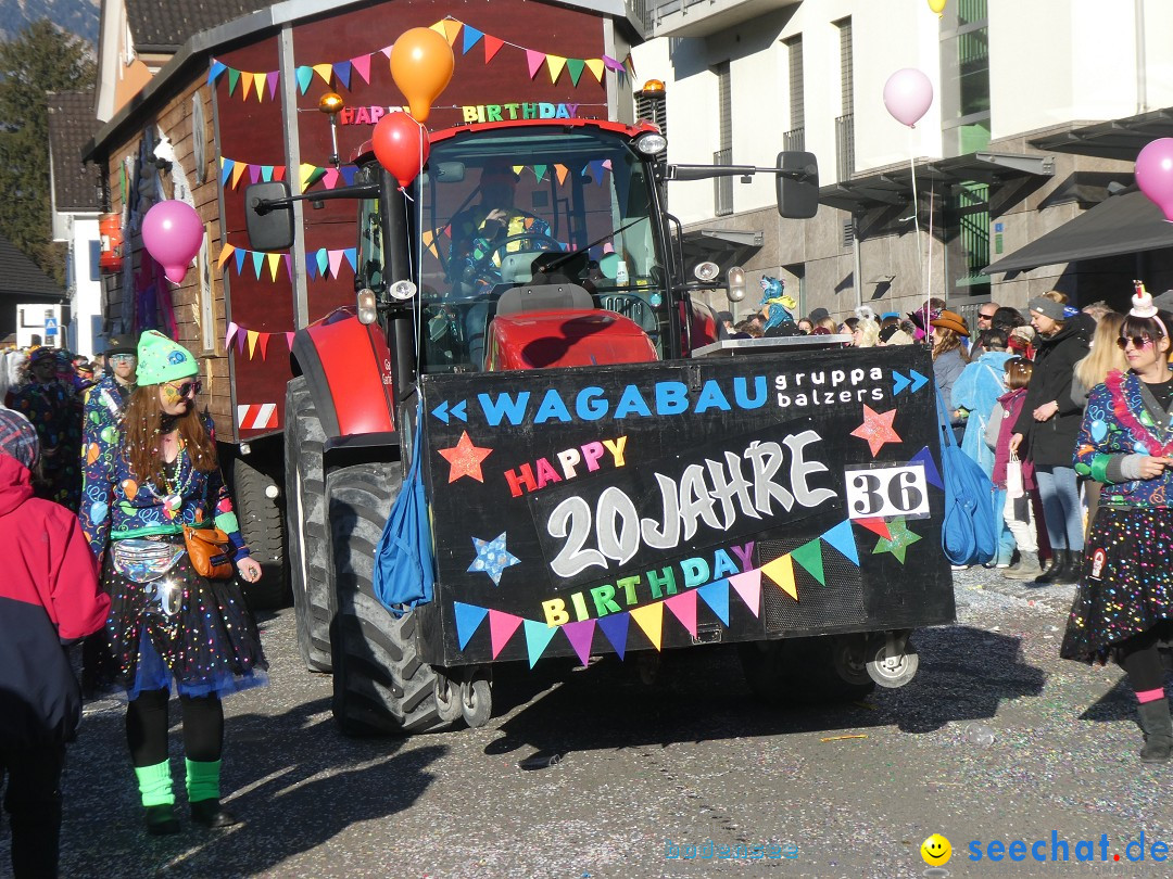 Fasnachtsumzug: Gams - Schweiz, 01.02.2026