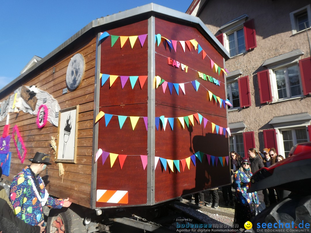 Fasnachtsumzug: Gams - Schweiz, 01.02.2026