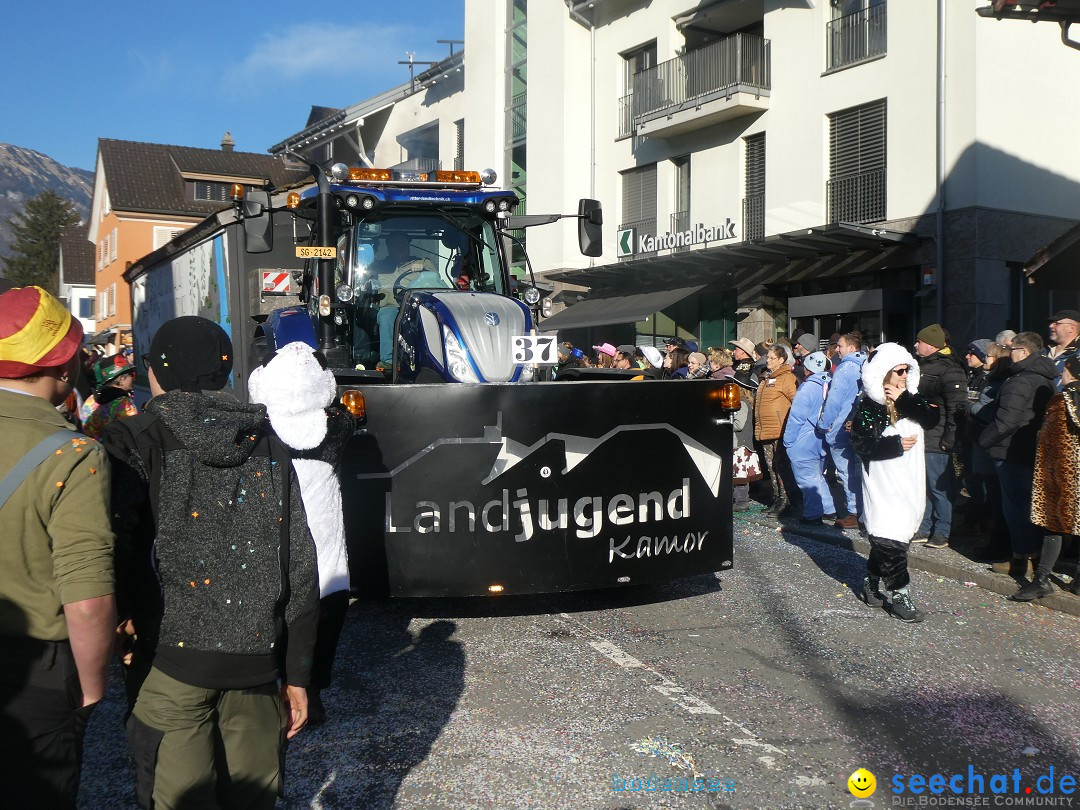 Fasnachtsumzug: Gams - Schweiz, 01.02.2026