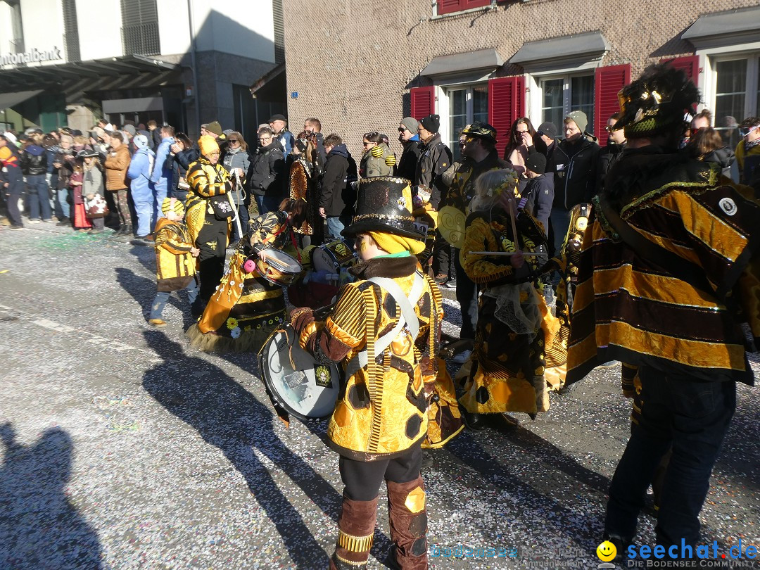 Fasnachtsumzug: Gams - Schweiz, 01.02.2026