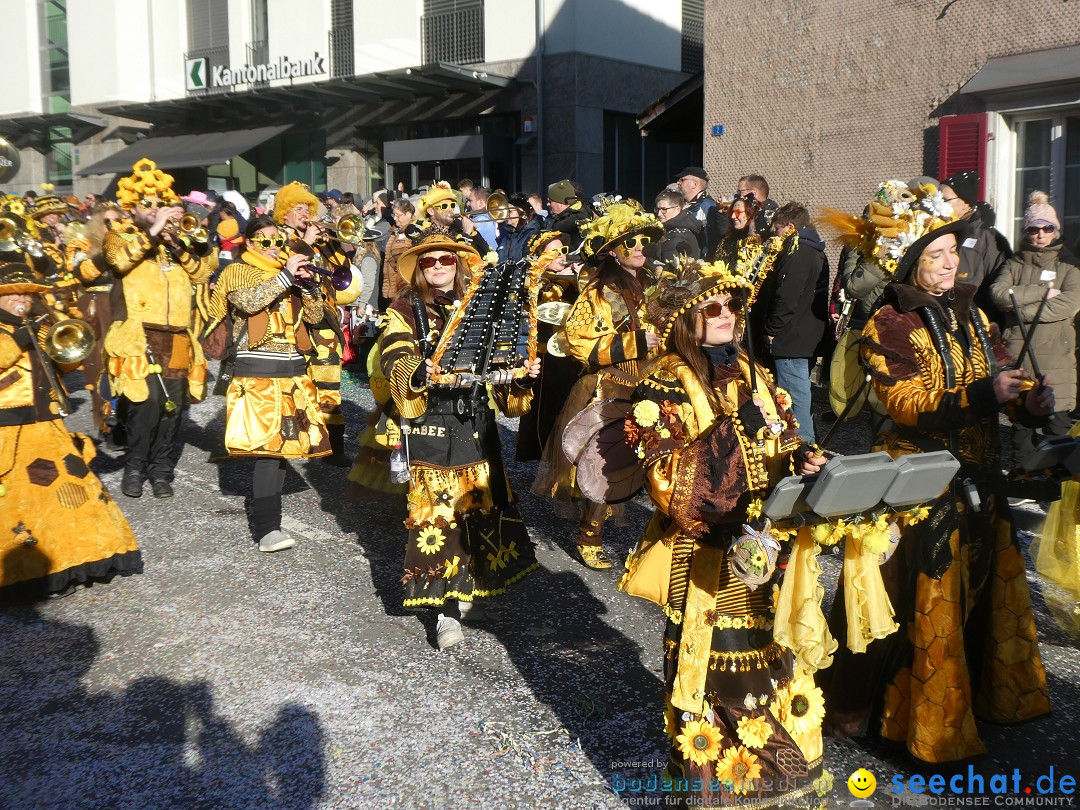 Fasnachtsumzug: Gams - Schweiz, 01.02.2026