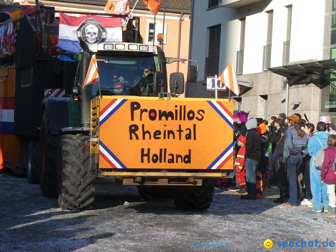 Fasnachtsumzug: Gams - Schweiz, 01.02.2026