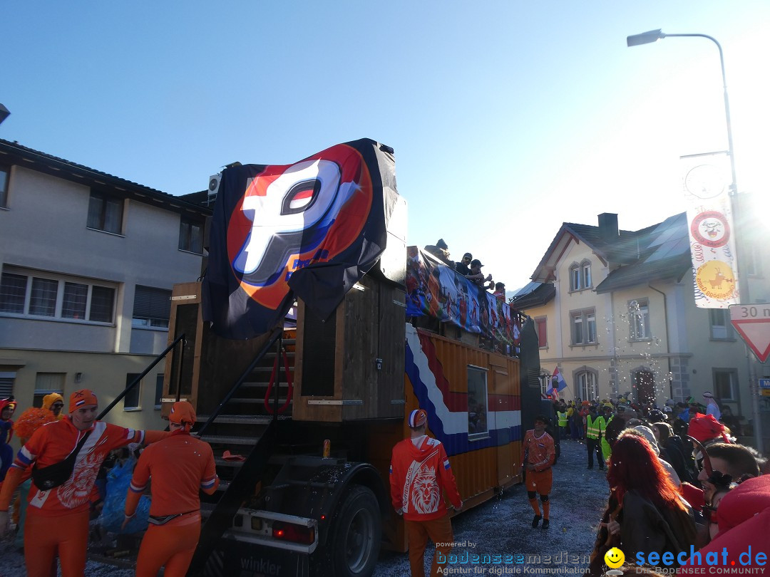 Fasnachtsumzug: Gams - Schweiz, 01.02.2026