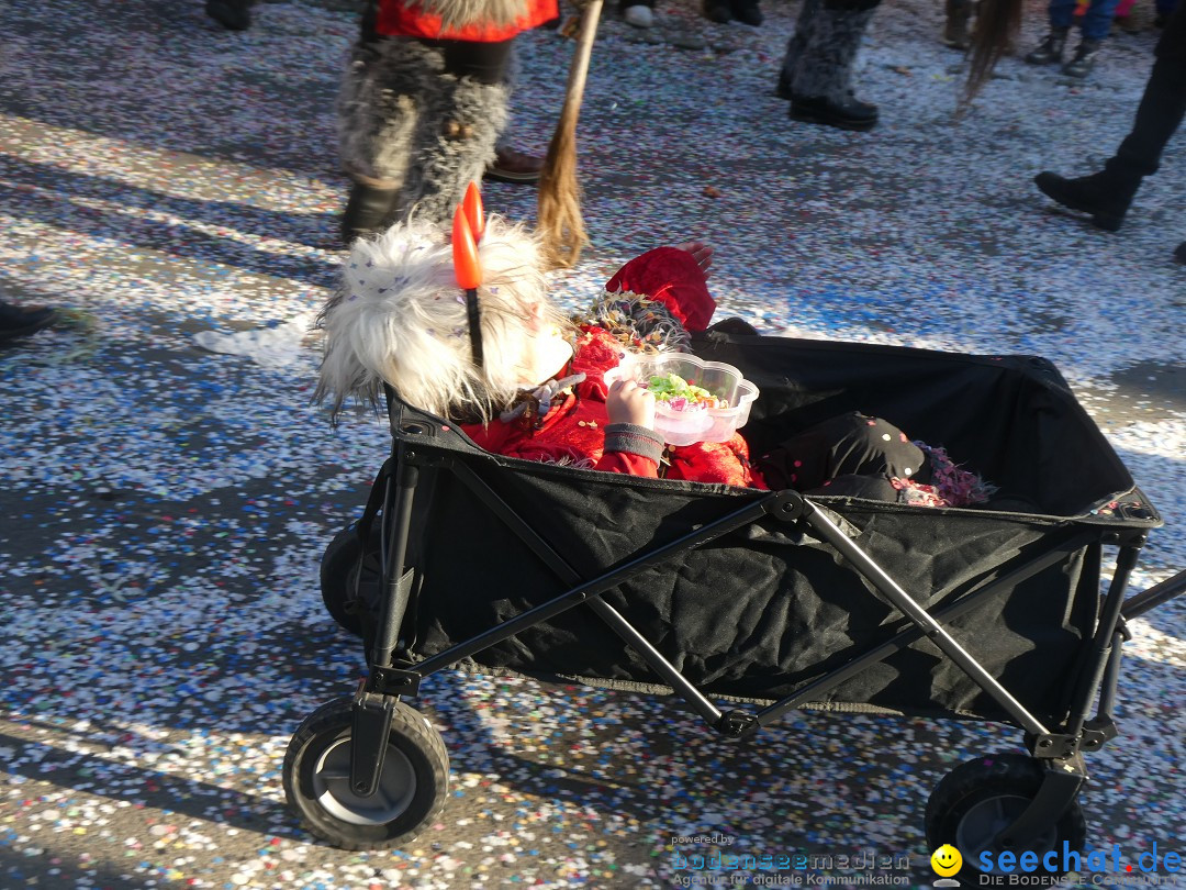 Fasnachtsumzug: Gams - Schweiz, 01.02.2026