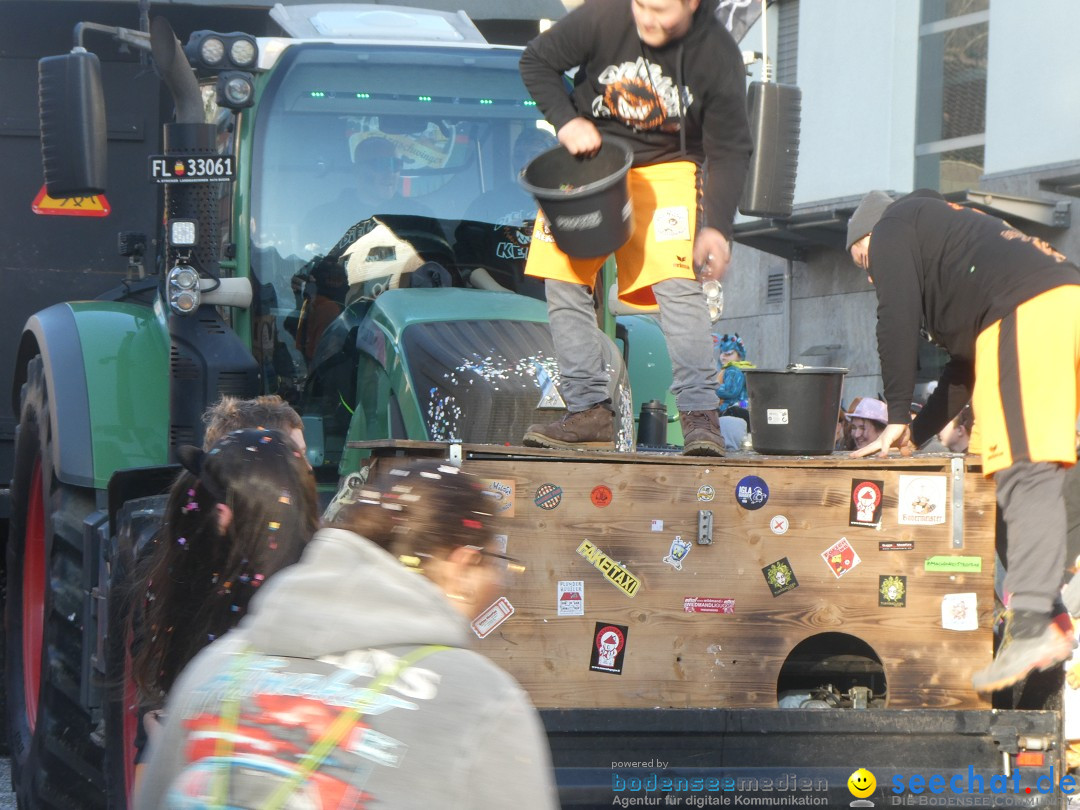 Fasnachtsumzug: Gams - Schweiz, 01.02.2026