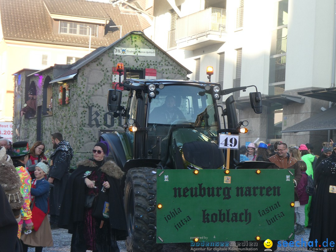 Fasnachtsumzug: Gams - Schweiz, 01.02.2026