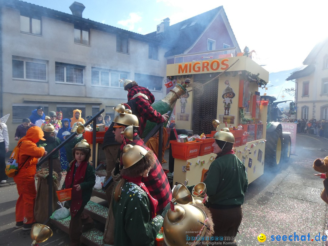 Fasnachtsumzug: Gams - Schweiz, 01.02.2026